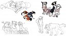 Random groups