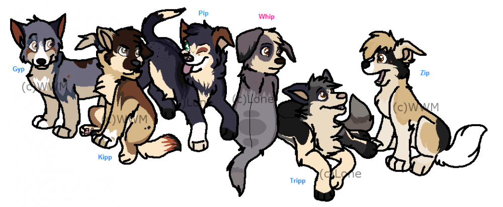 Fan Pups