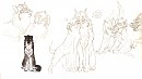 Concepts