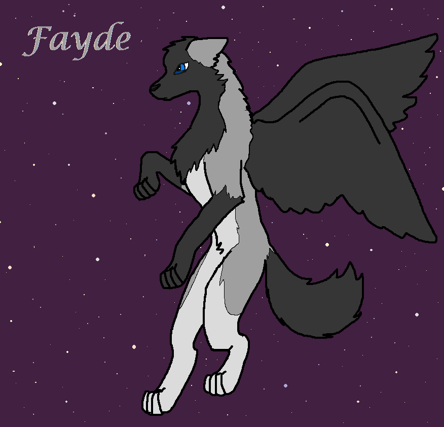 Fayde for DolphinsFriend
