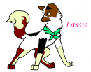 Snowdog00's Lassie