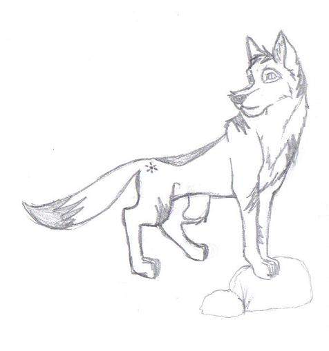 Random wolf