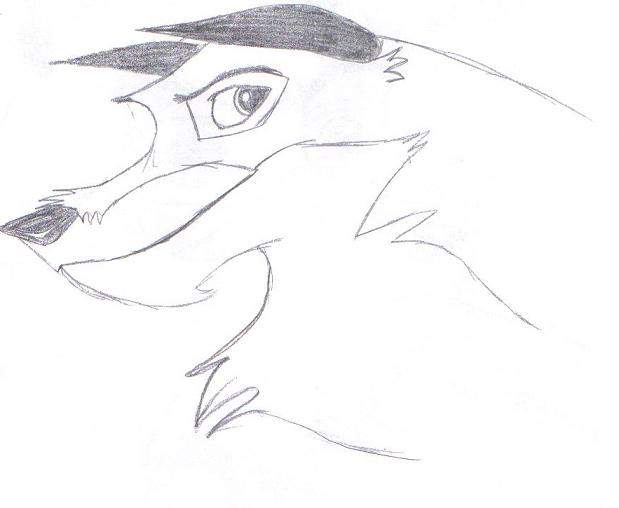 Come on Balto