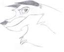 Come on Balto