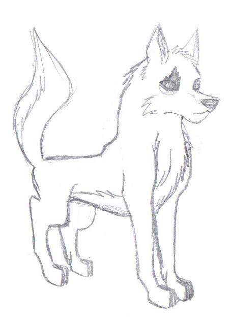 another wolf