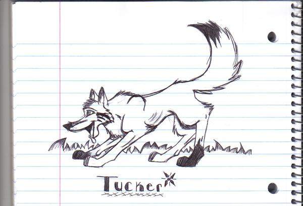 WOLF!!!! awwwww