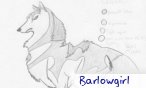 barlowgirl