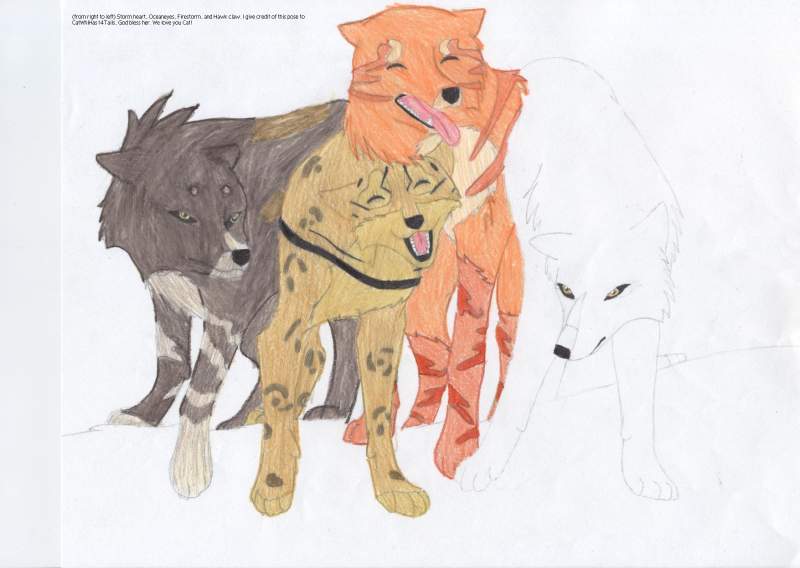 Warriors As Wolves!