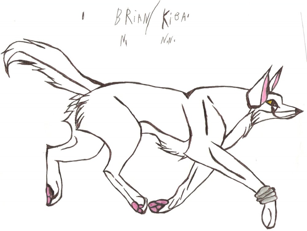Brian/Kiba Cantering