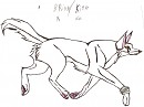 Brian/Kiba Cantering