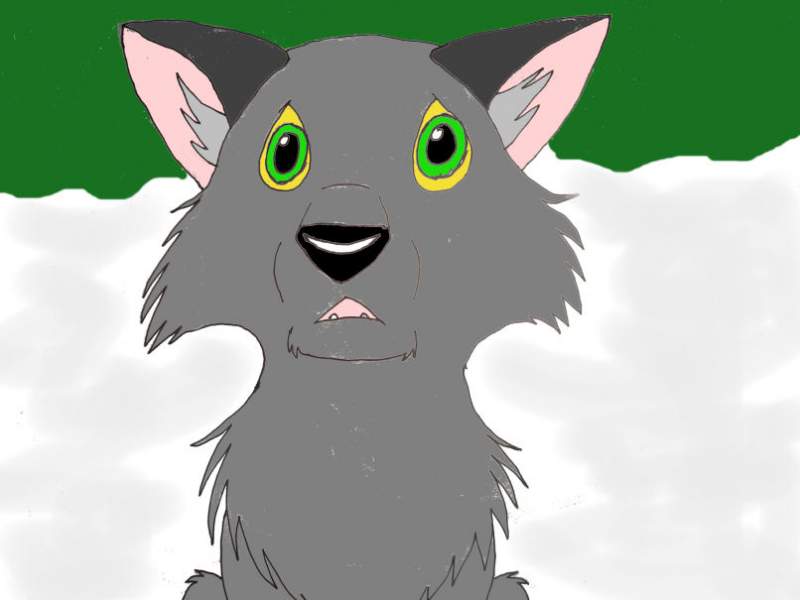Wolf pup