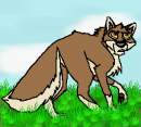 5 minute Balto