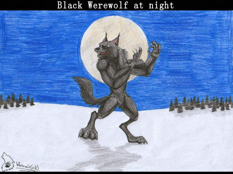 Black werewolf at night