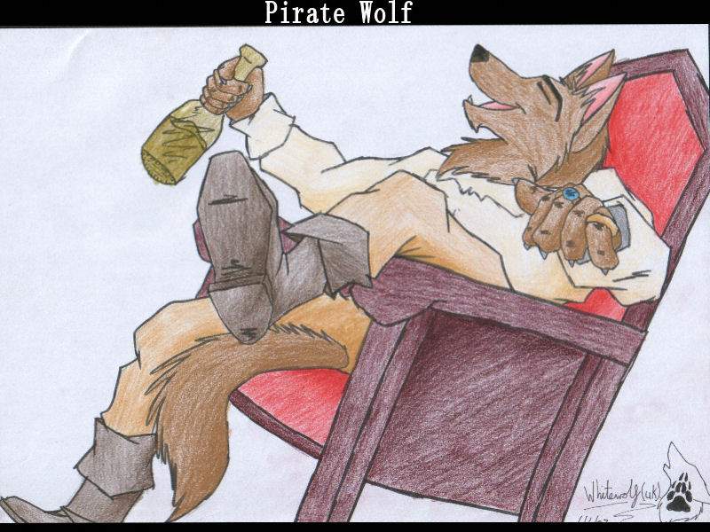 Pirate wolf