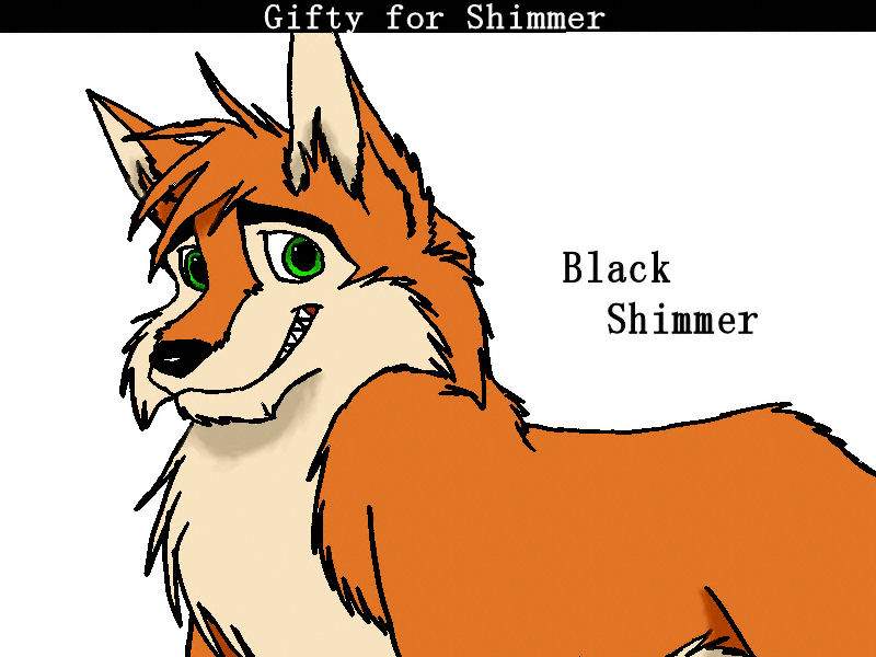 Gifty for Shimmer