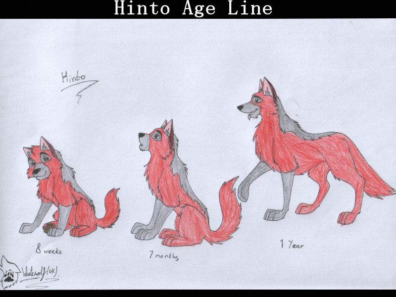 Hinto age line