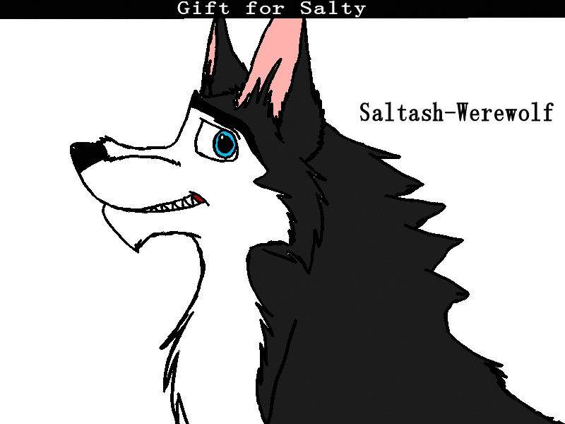Gifty for salty