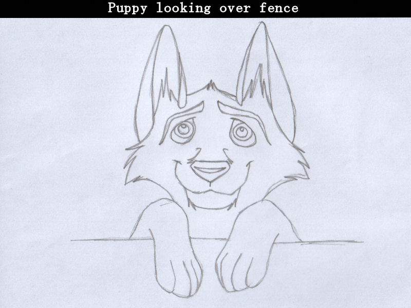 Cute puppy looking over fence
