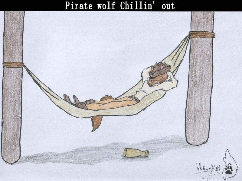 Pirate wolf Chillin' out