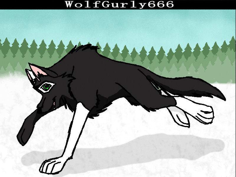 Wolfgurly666