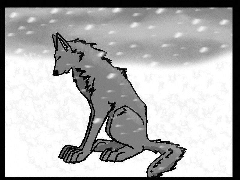 Snow storm