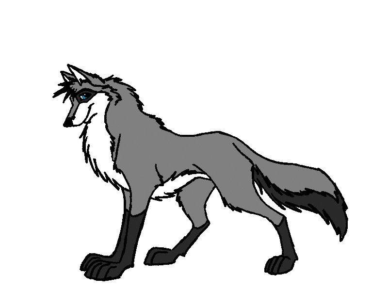 Dark Paws