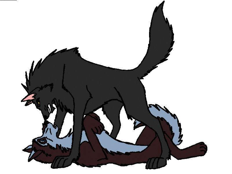 Valo Hates Niju
