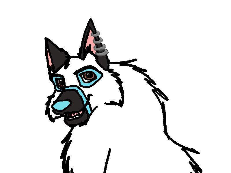 Gifty for SBD