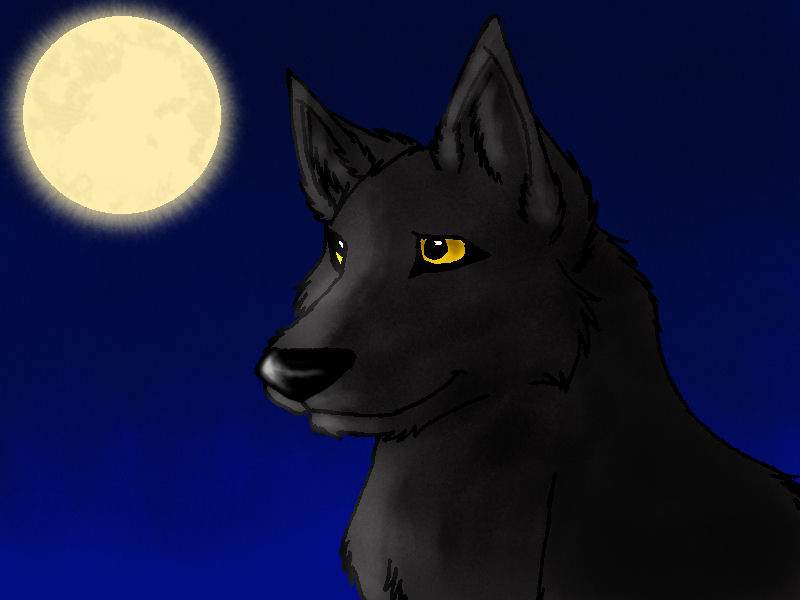 Wolf in moonlight Remix