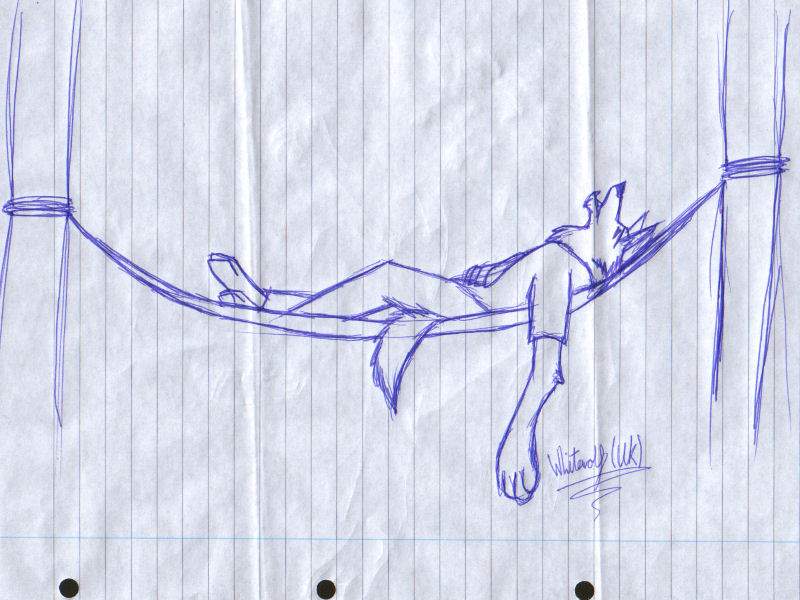 Anthro wolf college sketch