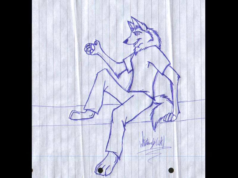 anthro wolf college sketch 2