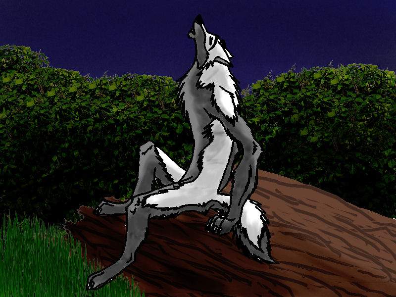 Meh other Antrho form