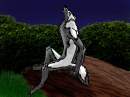 Meh other Antrho form