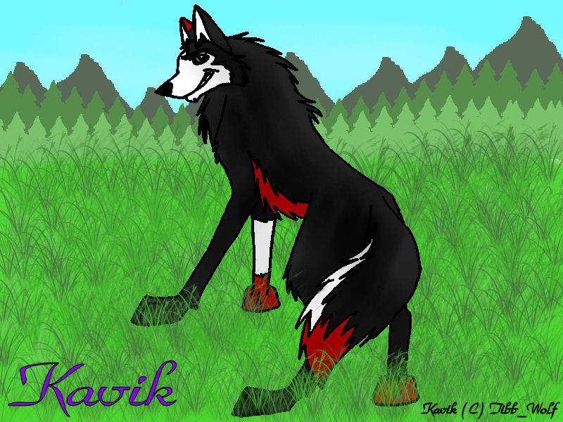 Kavik