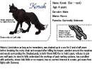 Korak character sheet