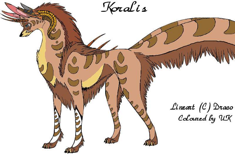 Koralis