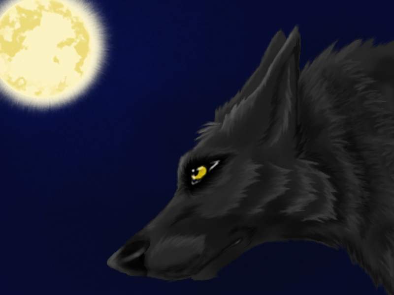 Night stalker
