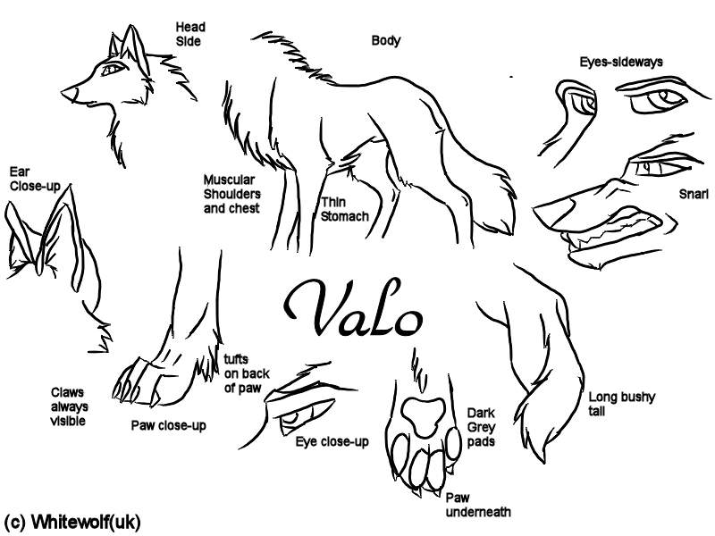 Valo Ref-Sheet