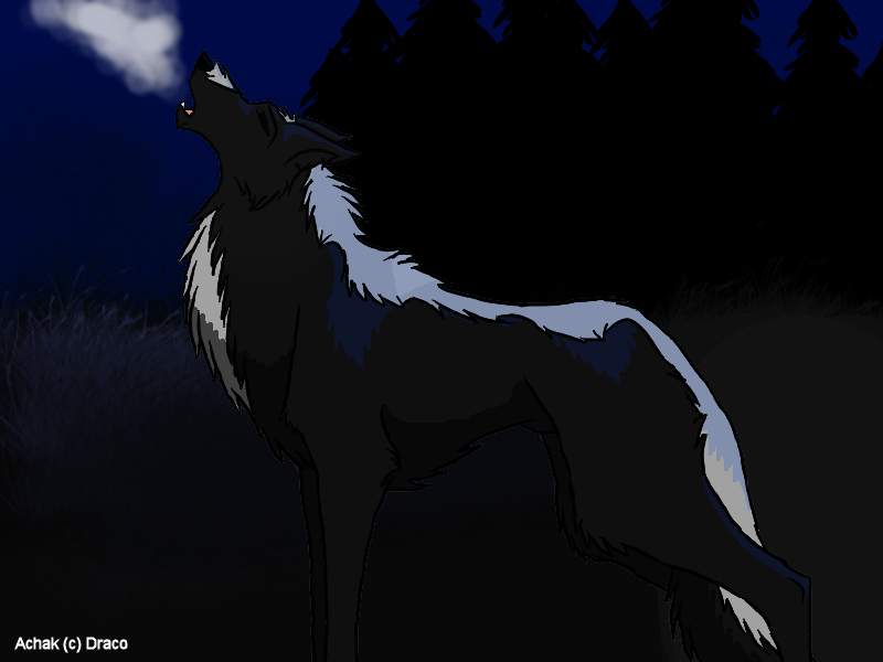 Achak howl