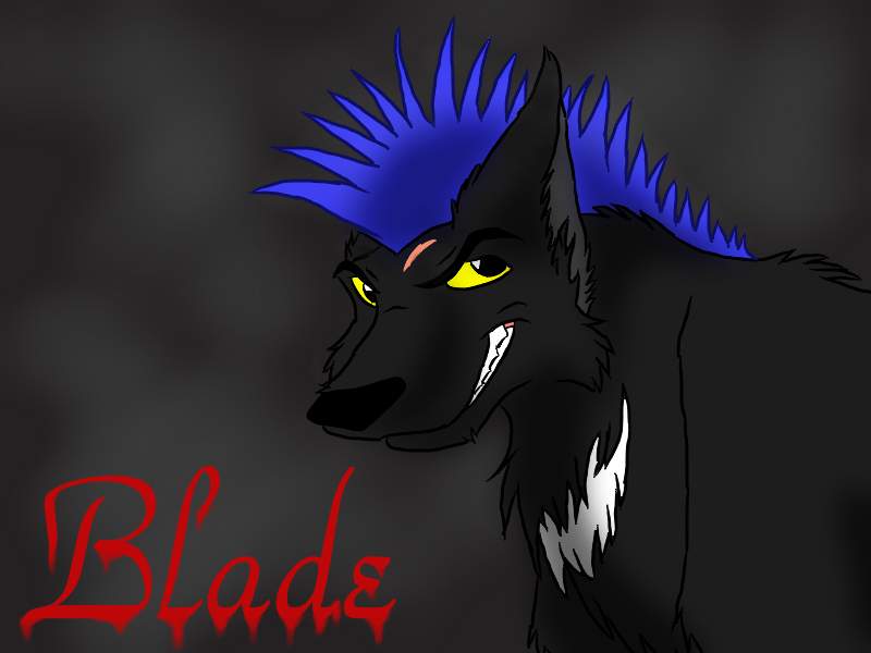 Meet Blade!!