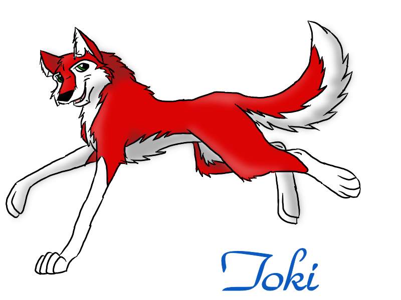 Toki