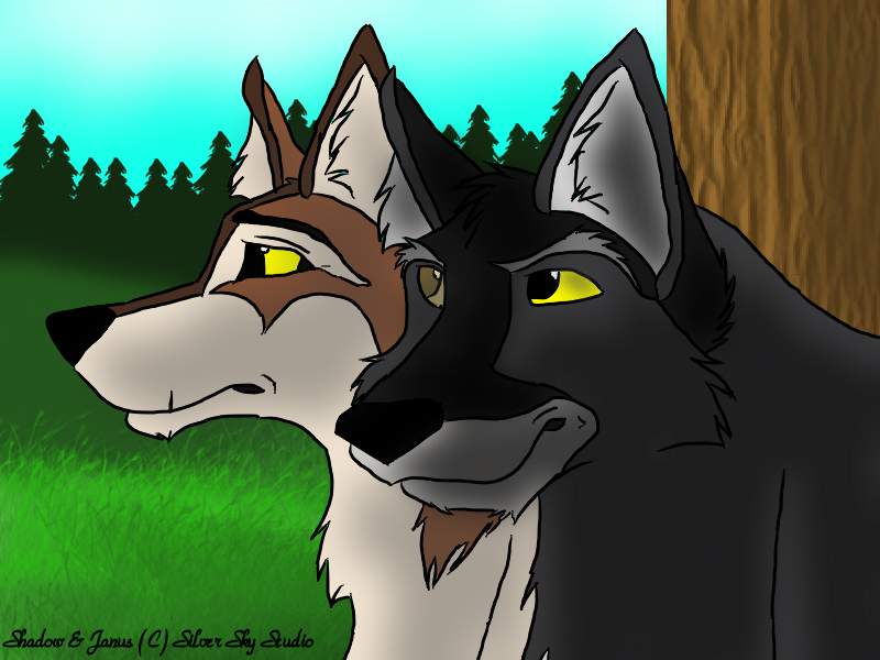 Shadow and Janus