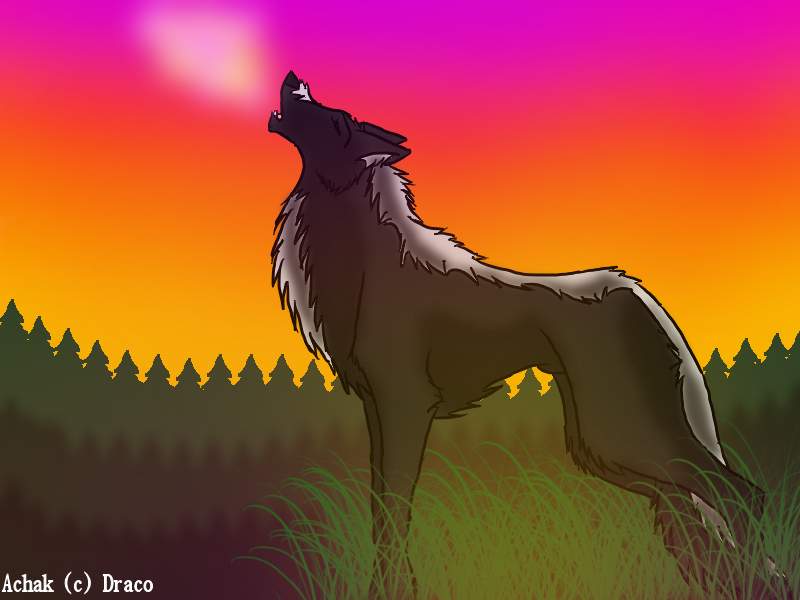 Achak howl remix