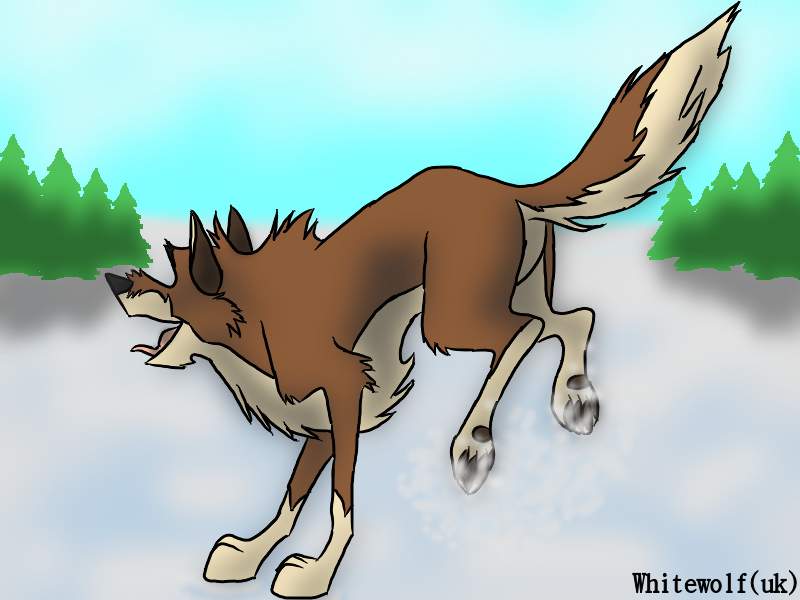 Balto's playful
