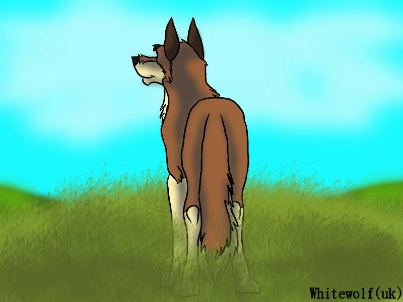 Balto's surveying the landscape