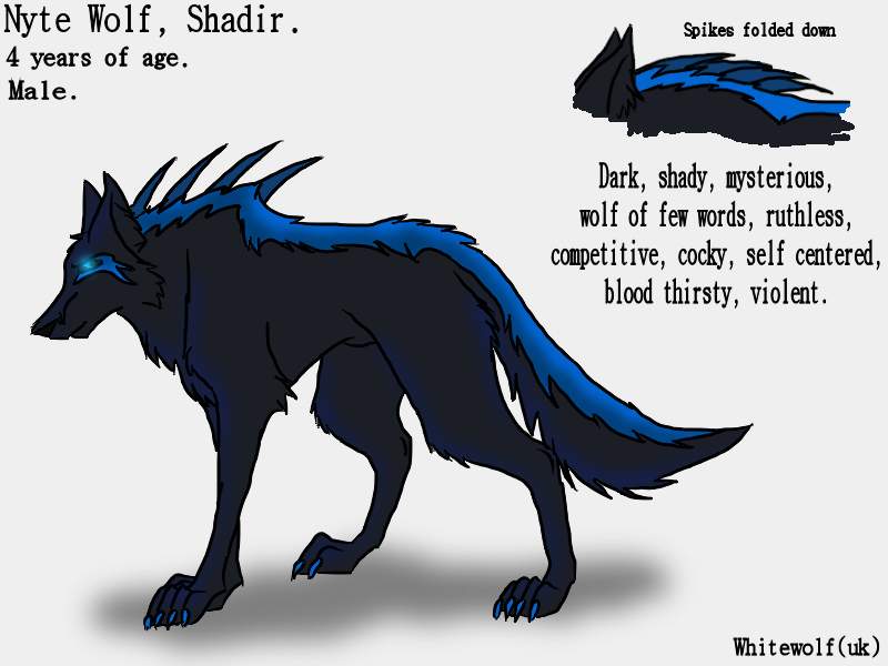 Nyte Wolf, Shadir