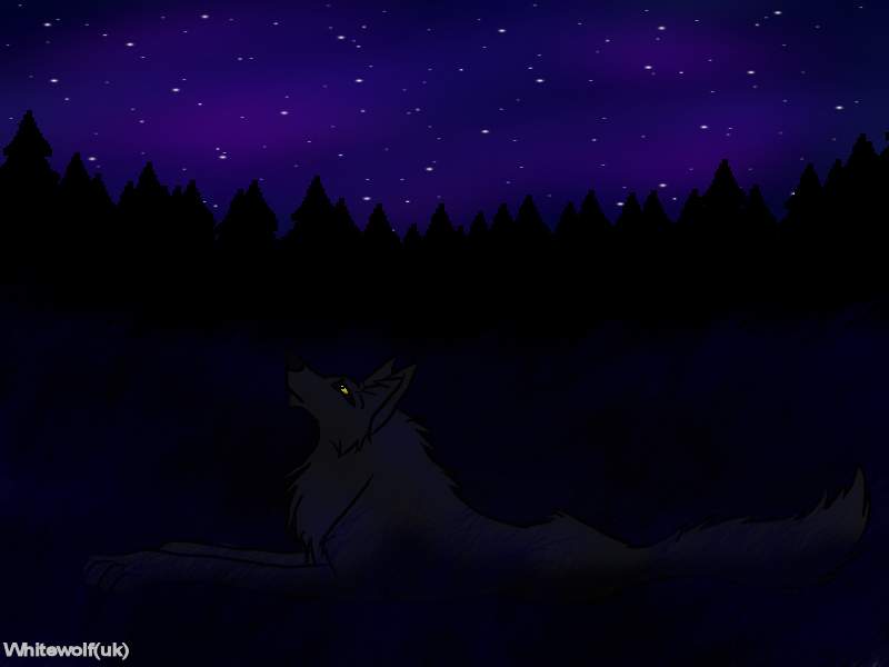 Valo looks at stars