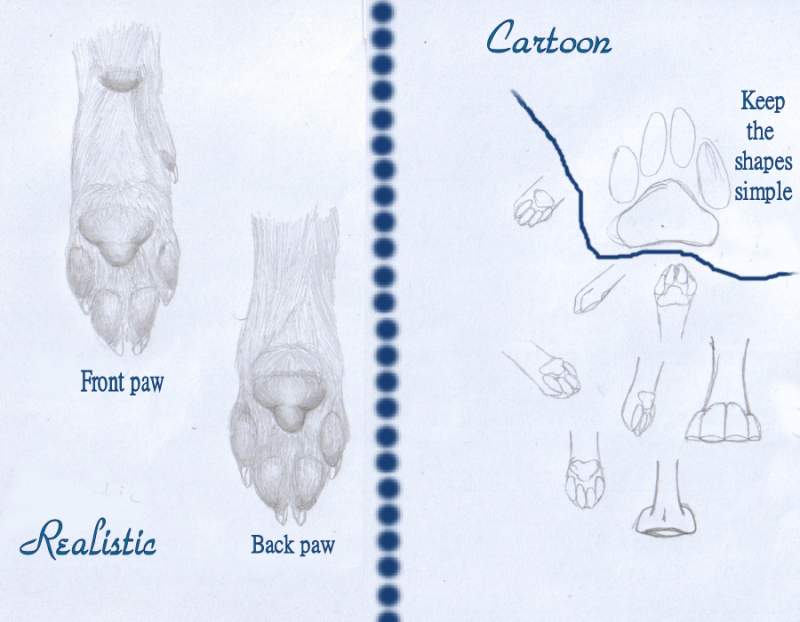 Quick Paw pad tutorial