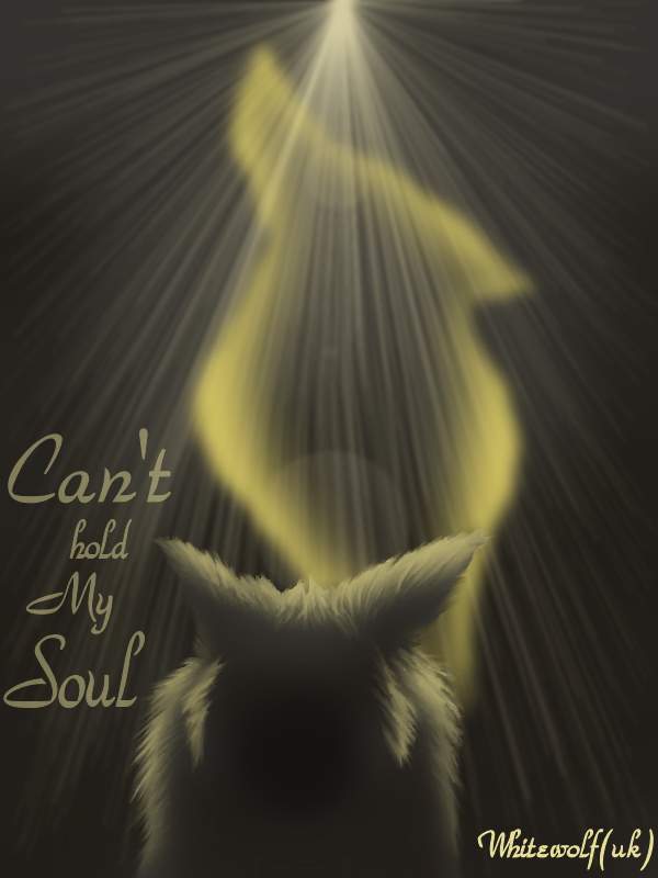 Can't hold my soul