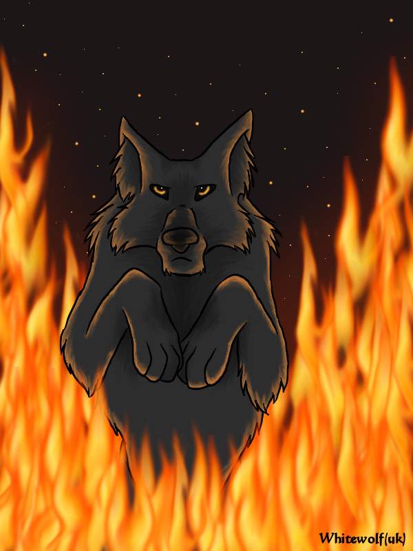 Through the fire